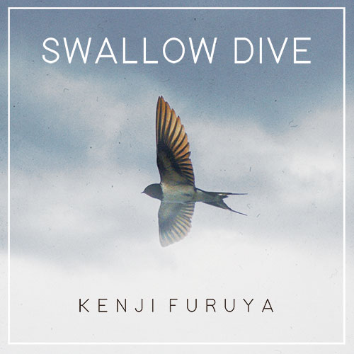 Swallow dive